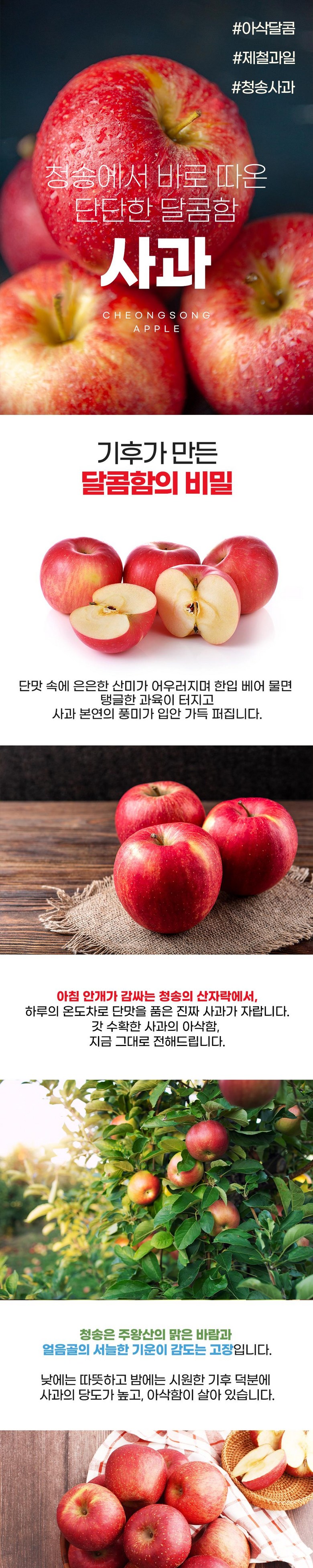 35369d015021a13628e2815d9a002508_1764052828_3847.jpg 35369d015021a13628e2815d9a002508_1764052828_3847.jpg